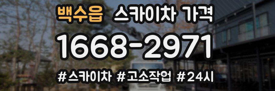 백수읍 스카이차 가격