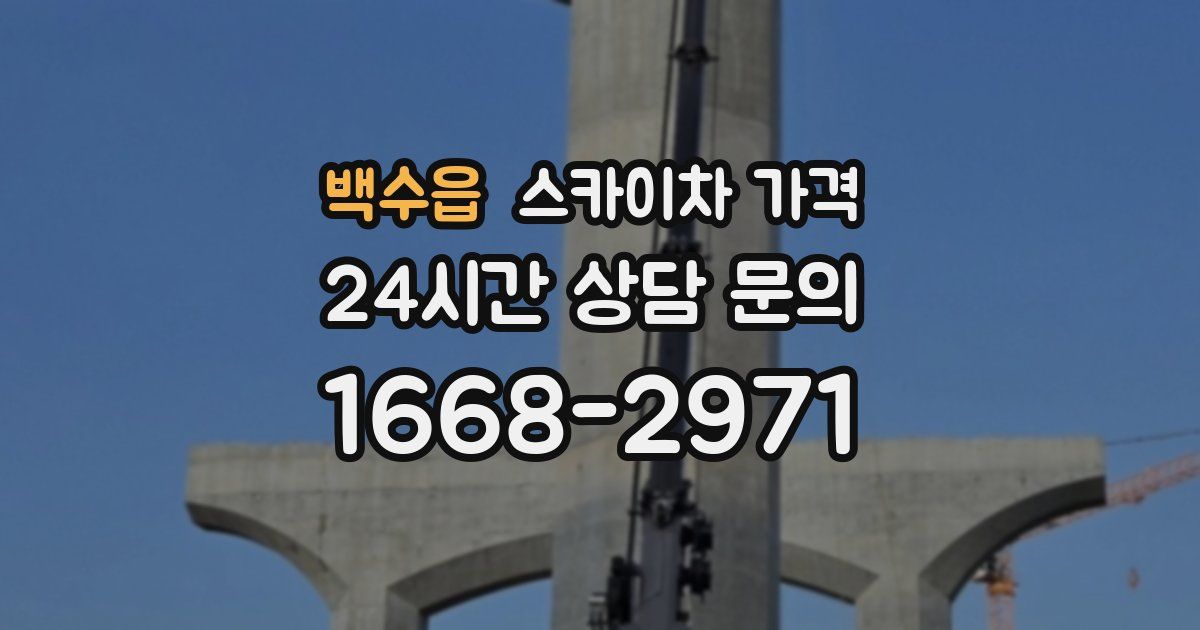 백수읍 스카이차 가격