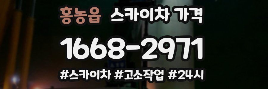 홍농읍 스카이차 가격