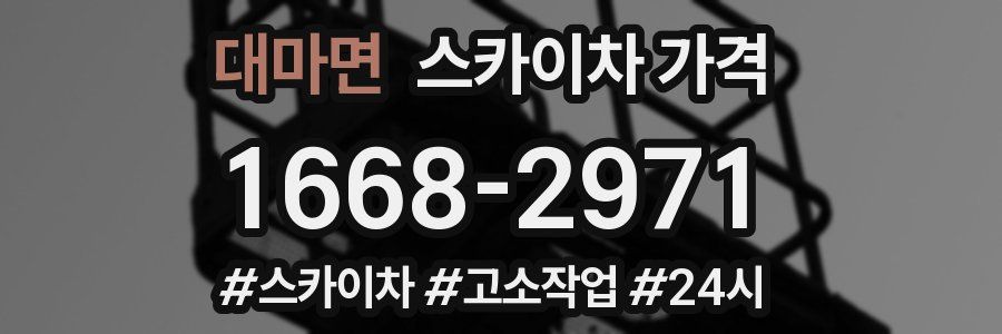 대마면 스카이차 가격