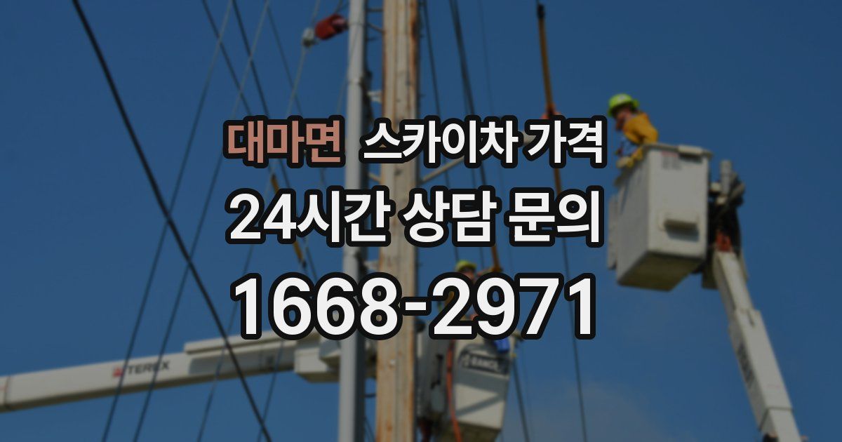 대마면 스카이차 가격