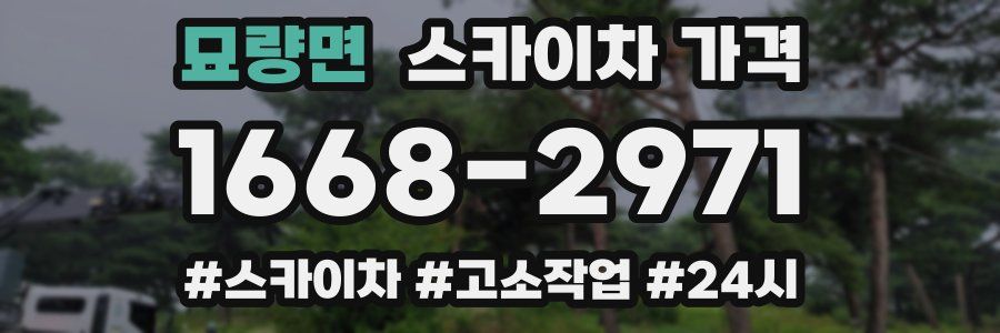 묘량면 스카이차 가격