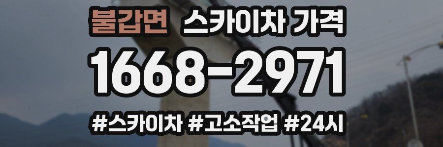 불갑면 스카이차 가격