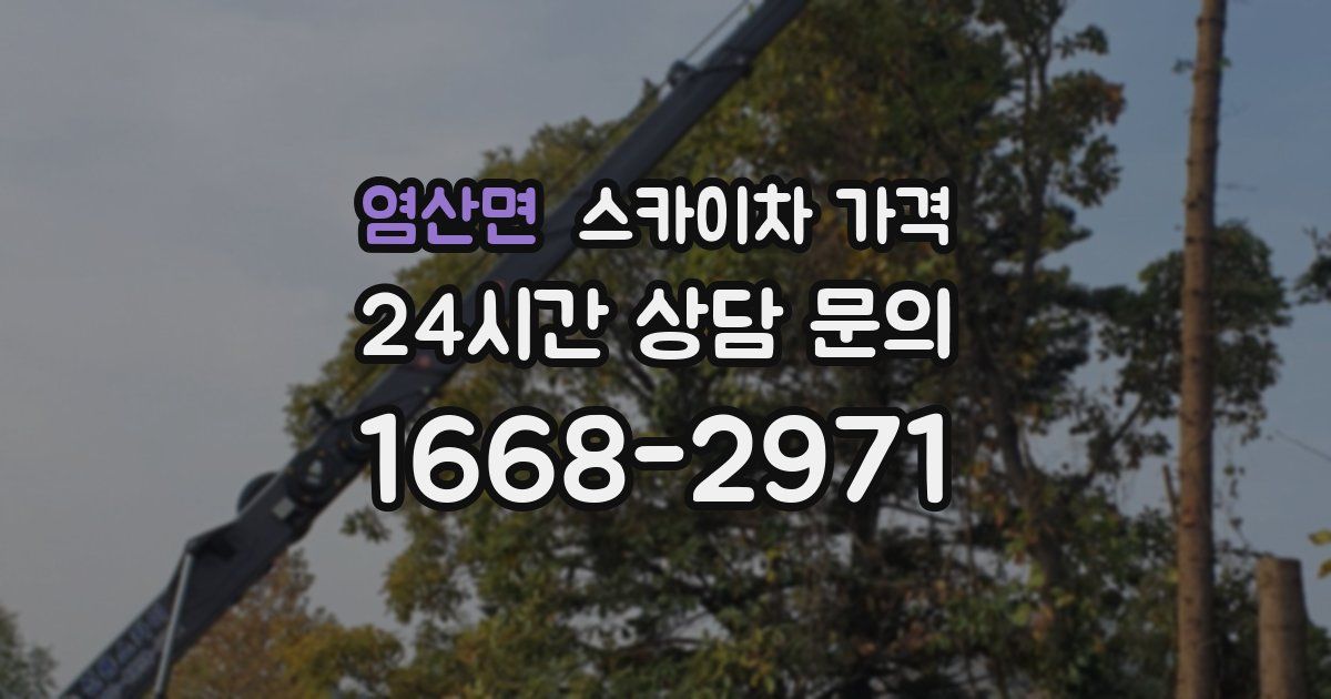 염산면 스카이차 가격