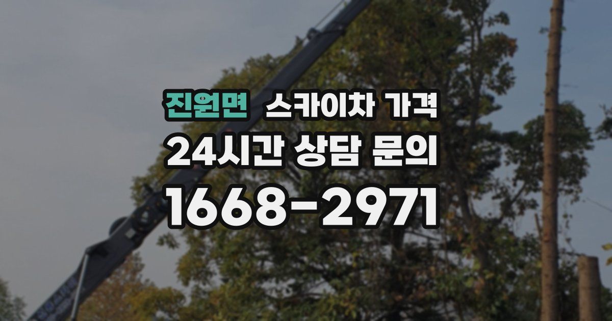 진원면 스카이차 가격
