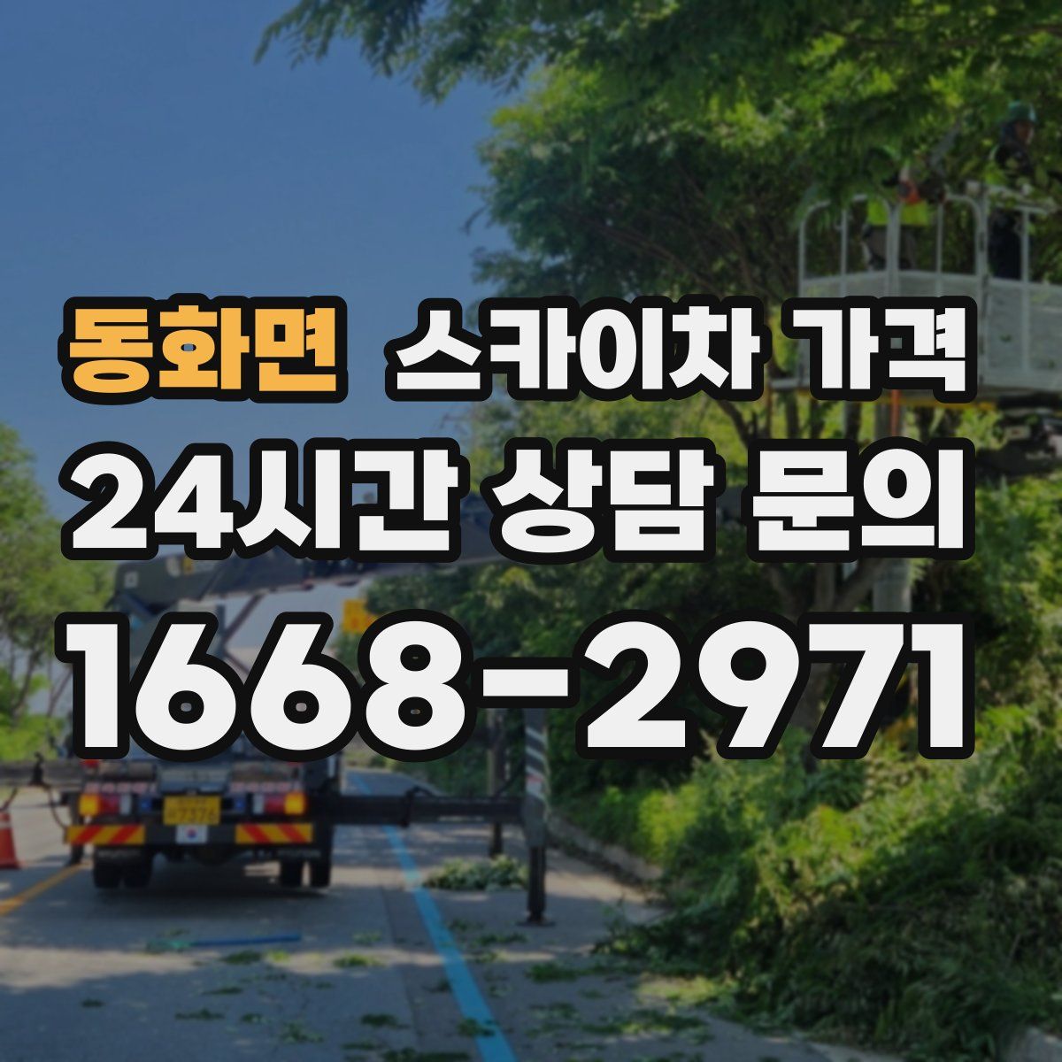 동화면 스카이차 가격