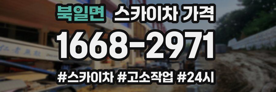 북일면 스카이차 가격