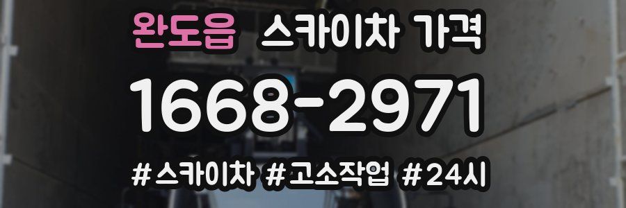 완도읍 스카이차 가격