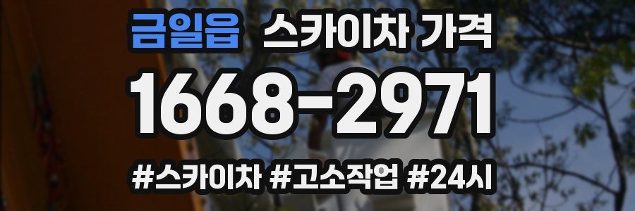 금일읍 스카이차 가격