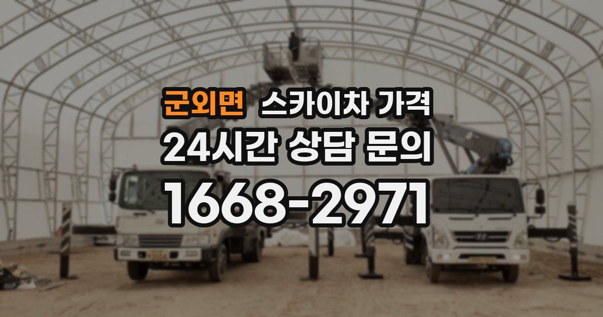 군외면 스카이차 가격