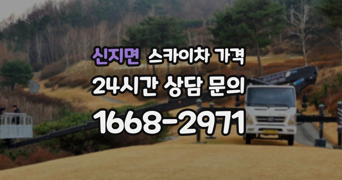 신지면 스카이차 가격