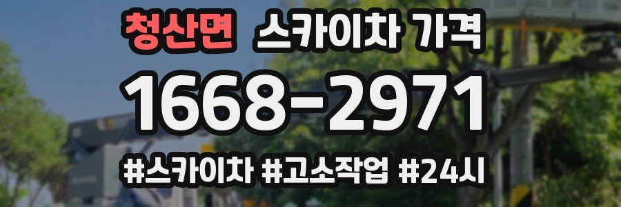 청산면 스카이차 가격