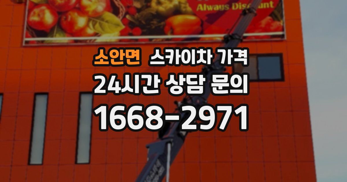 소안면 스카이차 가격