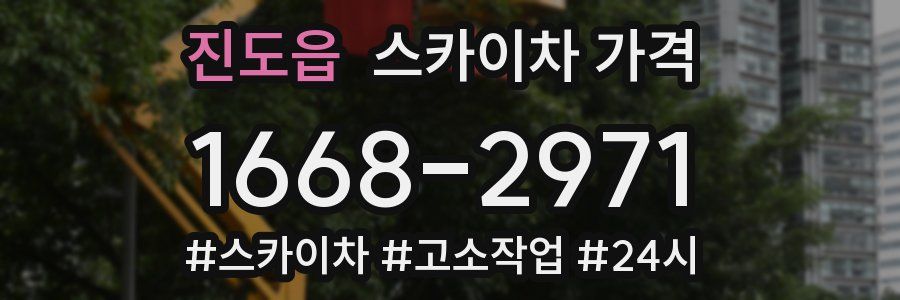 진도읍 스카이차 가격