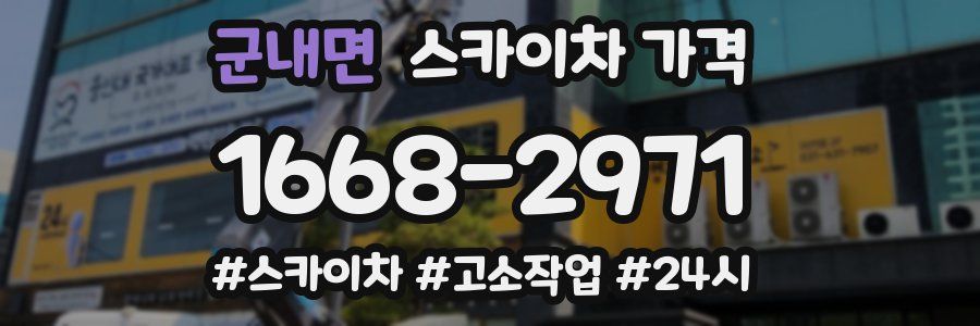 군내면 스카이차 가격