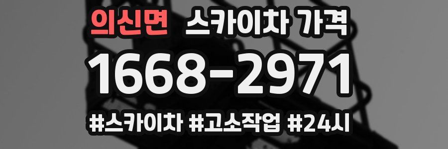 의신면 스카이차 가격