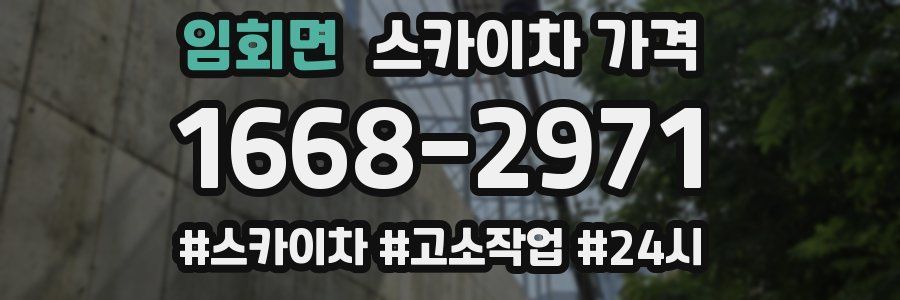 임회면 스카이차 가격