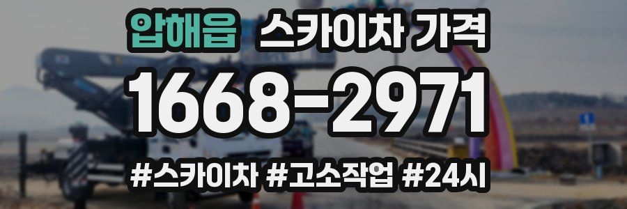 압해읍 스카이차 가격