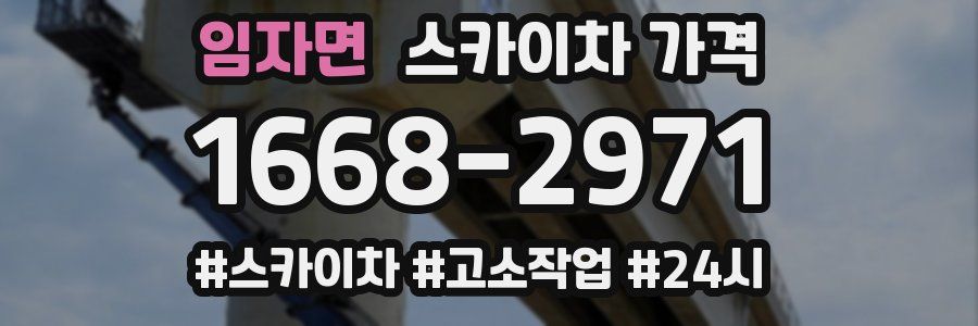 임자면 스카이차 가격