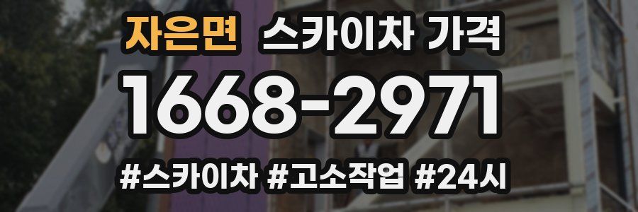 자은면 스카이차 가격