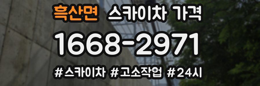 흑산면 스카이차 가격