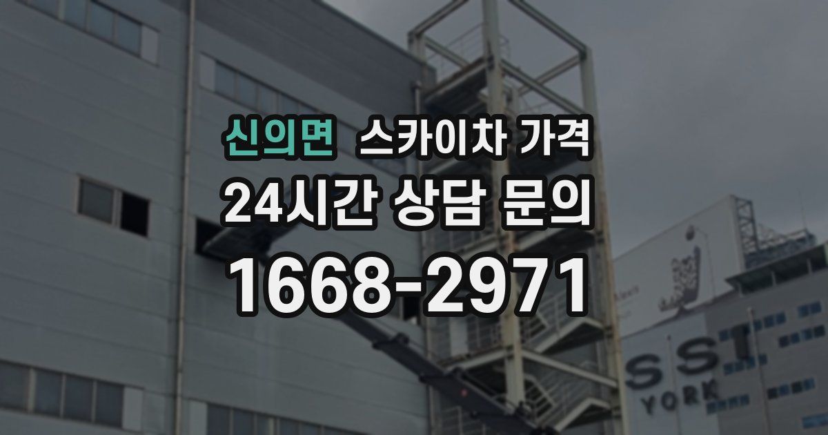 신의면 스카이차 가격