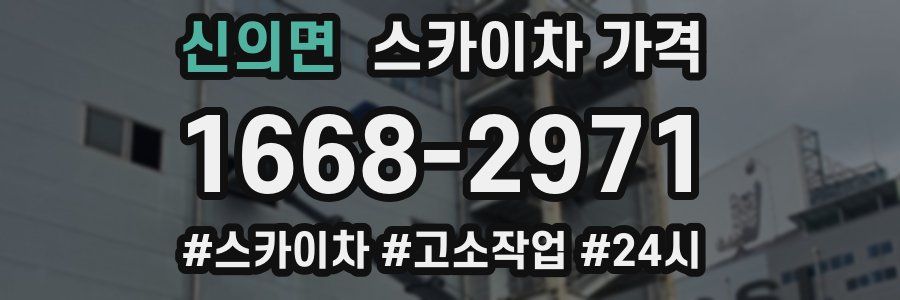 신의면 스카이차 가격