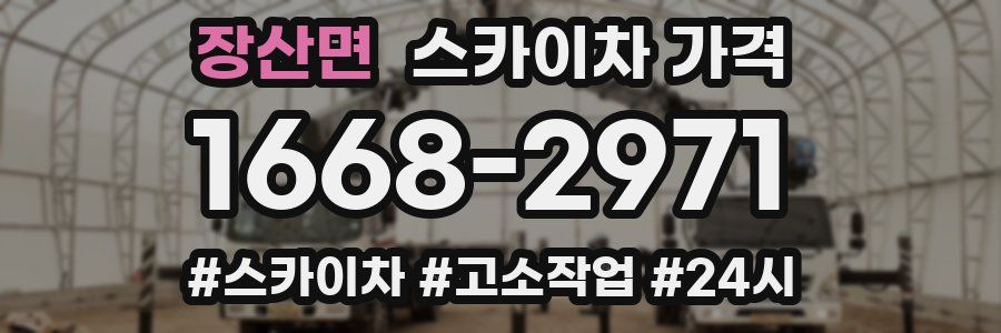 장산면 스카이차 가격