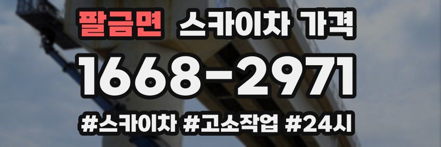 팔금면 스카이차 가격