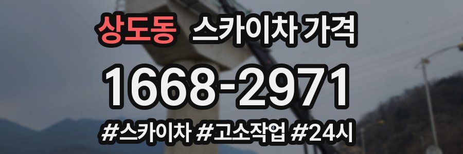 상도동 스카이차 가격