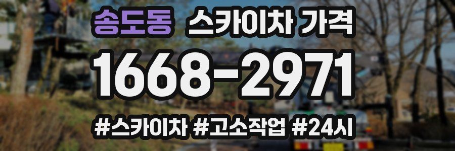 송도동 스카이차 가격