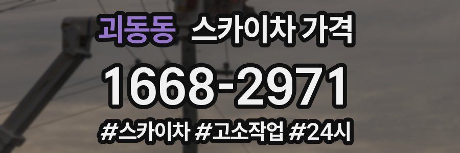 괴동동 스카이차 가격