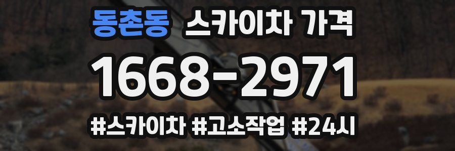 동촌동 스카이차 가격