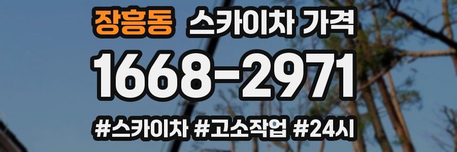 장흥동 스카이차 가격