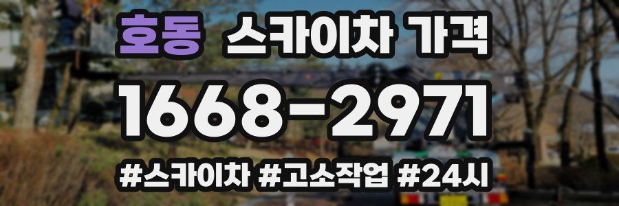 호동 스카이차 가격