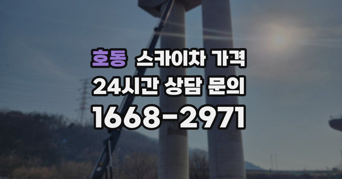 호동 스카이차 가격