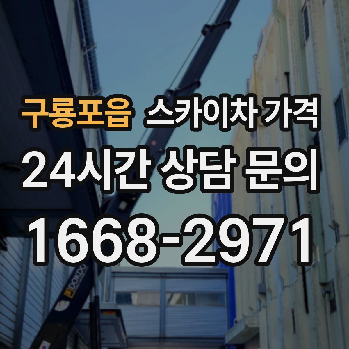 구룡포읍 스카이차 가격