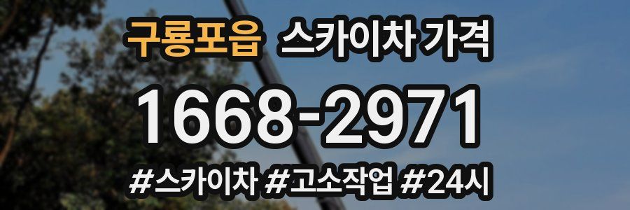 구룡포읍 스카이차 가격