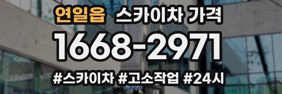 연일읍 스카이차 가격