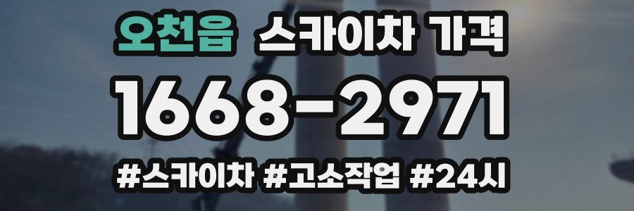 오천읍 스카이차 가격