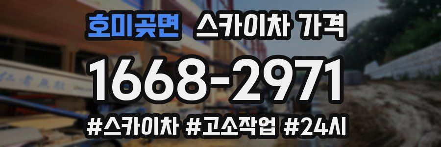 호미곶면 스카이차 가격