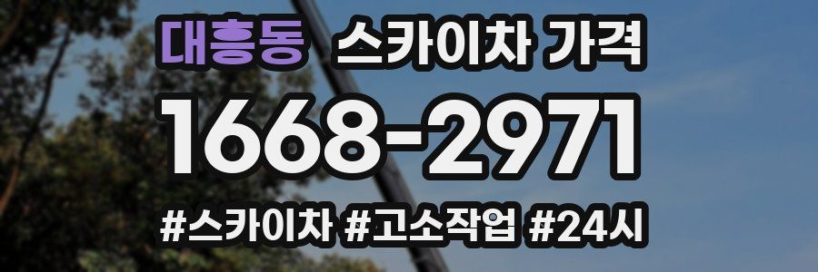 대흥동 스카이차 가격
