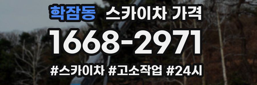 학잠동 스카이차 가격