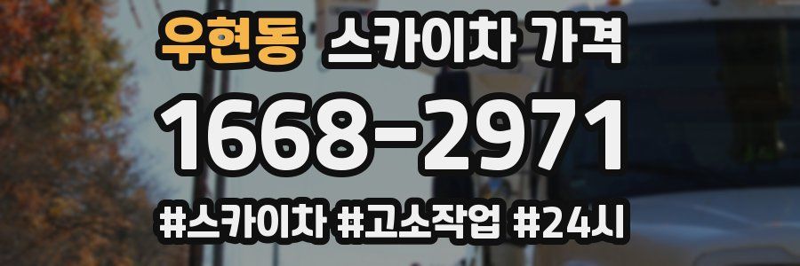 우현동 스카이차 가격