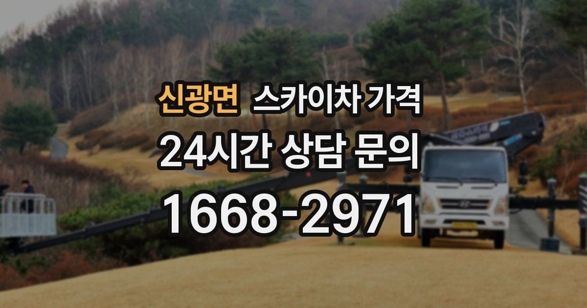 신광면 스카이차 가격