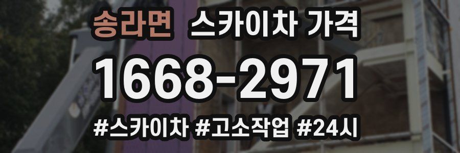 송라면 스카이차 가격