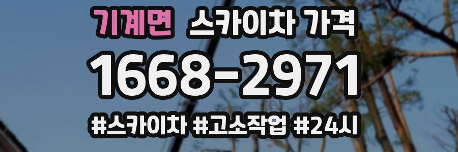 기계면 스카이차 가격