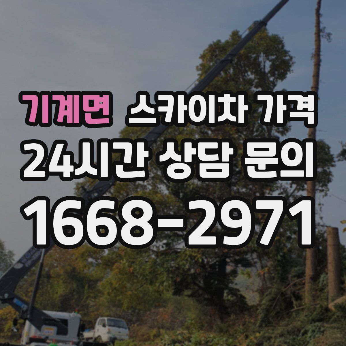 기계면 스카이차 가격