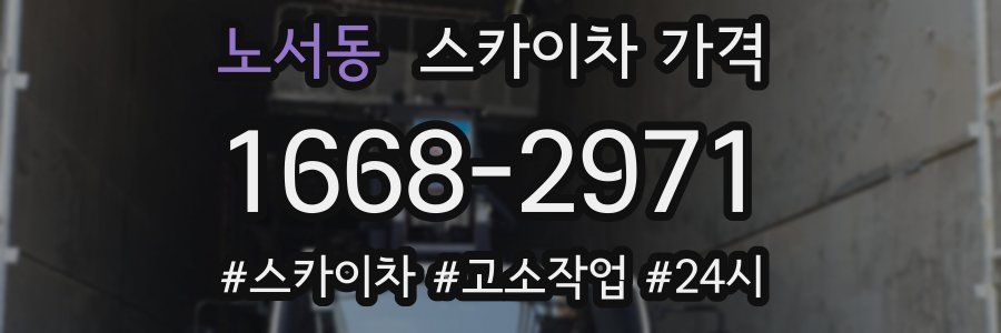 노서동 스카이차 가격