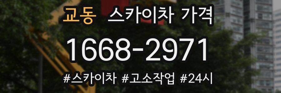 교동 스카이차 가격